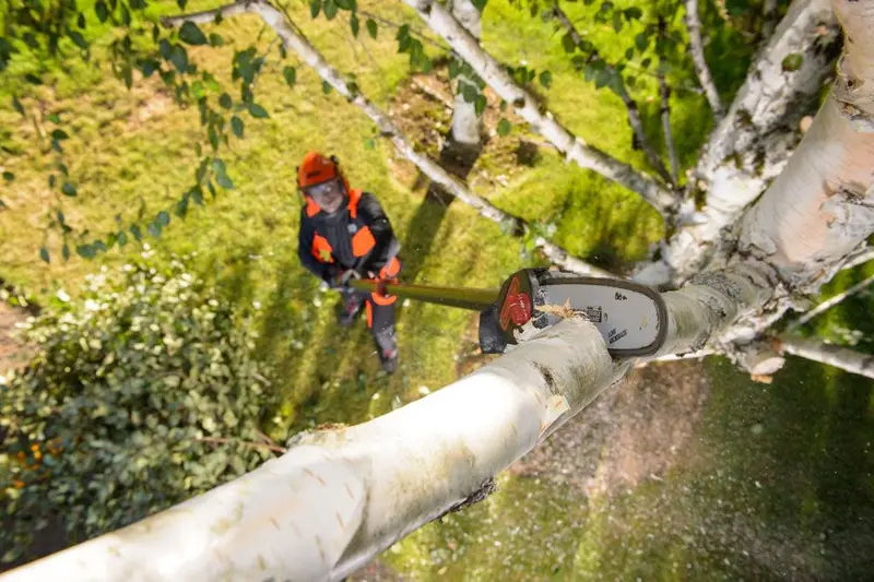 Zestaw piły łańcuchowej PS250 40 V z akumulatorem 6,0 Ah i szybką ładowarką